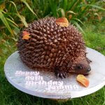 Hedgehog 40th birthday cake